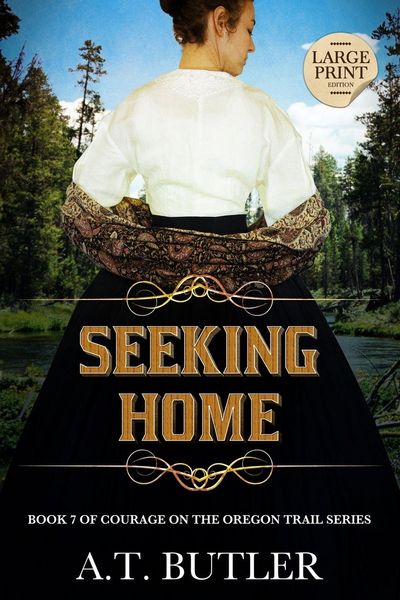 Produktbild: Seeking Home