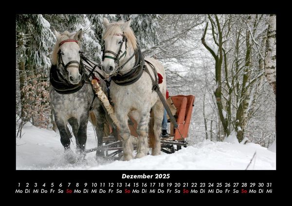 Produktbild: Die Welt der Pferde 2025 Fotokalender DIN A3