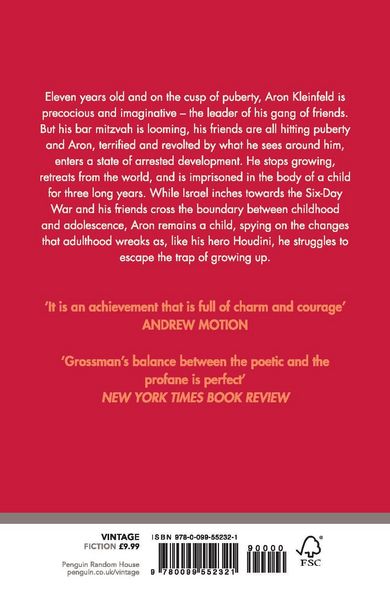 Produktbild: The Book Of Intimate Grammar