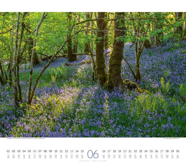 Produktbild: Wald Kalender 2027