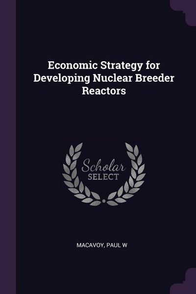 Produktbild: Economic Strategy for Developing Nuclear Breeder Reactors