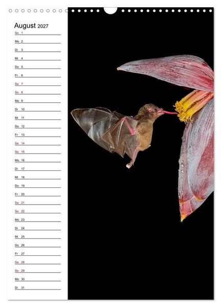 Produktbild: Costa Rica - Magische Tiere des Regenwaldes (Wandkalender 2027 DIN A3 hoch), CALVENDO Monatskalender