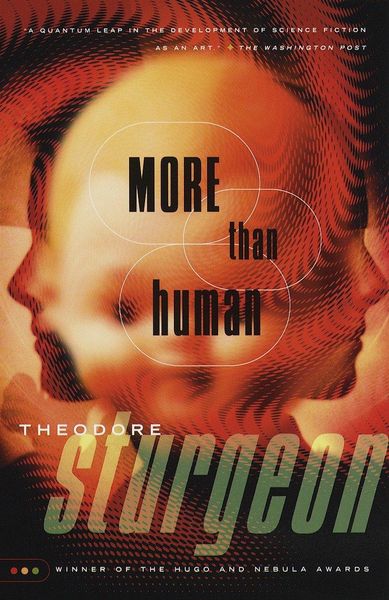 Produktbild: More Than Human