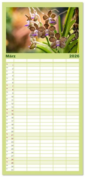 Produktbild: Familienplaner 2026 - Orchidaceae - Orchideen mit 5 Spalten (Wandkalender, 21 x 45 cm) CALVENDO