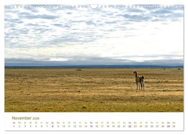 Produktbild: Weites Argentinien (Wandkalender 2026 DIN A3 quer), CALVENDO Monatskalender