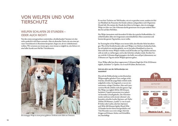 Produktbild: Die geheime Welt der Straßenhunde