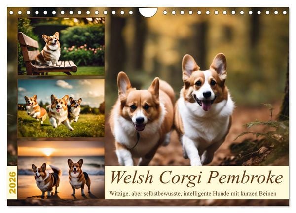 Produktbild: Welsh Corgi Pembroke (Wandkalender 2026 DIN A4 quer), CALVENDO Monatskalender
