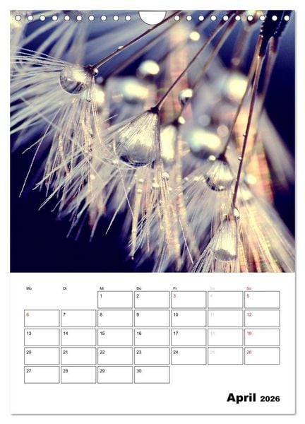 Produktbild: Pusteblumentraum - Dreams of Dandelion (Wandkalender 2026 DIN A4 hoch), CALVENDO Monatskalender