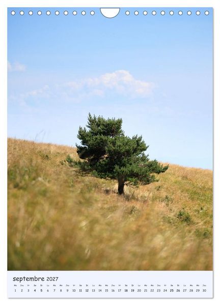 Produktbild: Arbres solitaires (Calendrier mural 2027 DIN A4 horizontal), CALVENDO calendrier mensuel