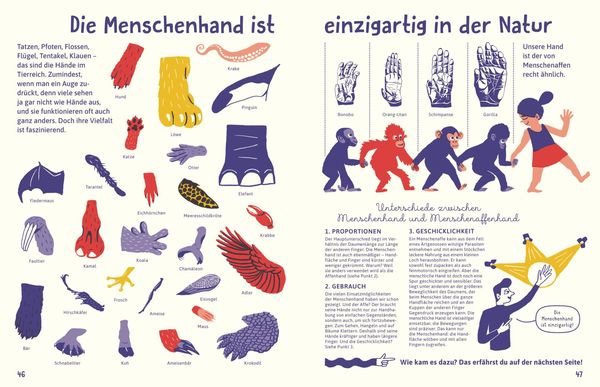 Produktbild: Alles &uuml;ber die Hand