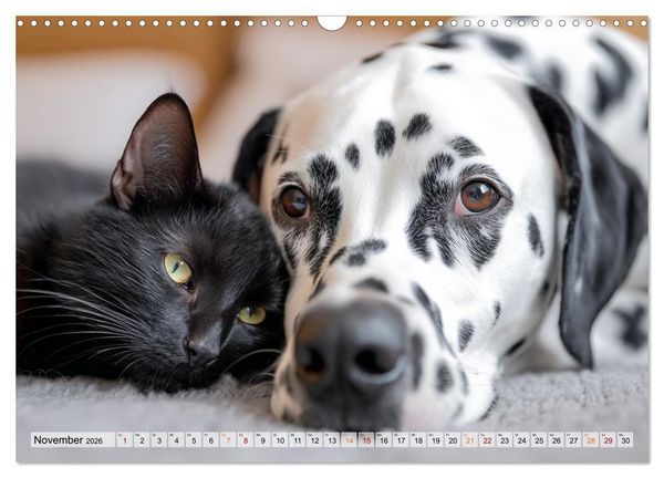 Produktbild: Hund und Katze - Tierische Freunde (Wandkalender 2026 DIN A3 quer), CALVENDO Monatskalender