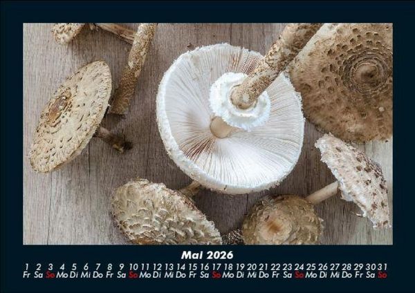 Produktbild: Pilzkalender 2026 Fotokalender DIN A5