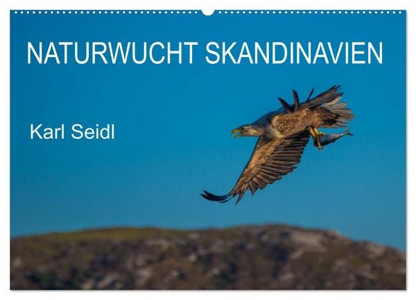 Produktbild: Naturwucht Skandinavien (Wandkalender 2026 DIN A2 quer), CALVENDO Monatskalender
