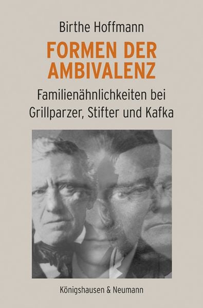 Produktbild: Formen der Ambivalenz