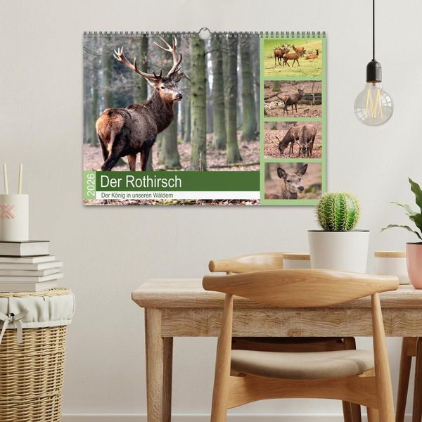 Produktbild: Der Rothirsch - Der K&ouml;nig in unseren W&auml;ldern (Wandkalender 2026 DIN A3 quer), CALVENDO Monatskalender