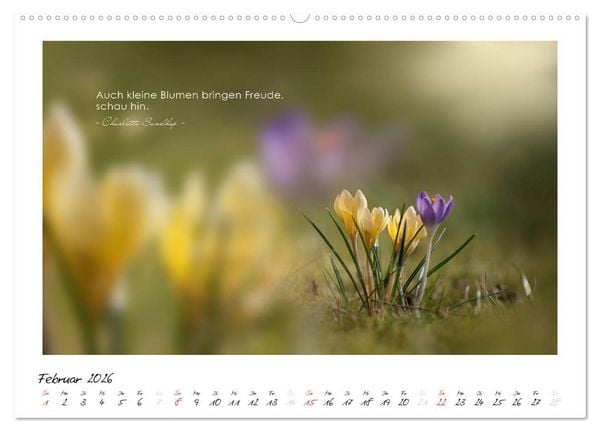 Produktbild: Mit guten Gedanken durch das Jahr (hochwertiger Premium Wandkalender 2026 DIN A2 quer), Kunstdruck in Hochglanz