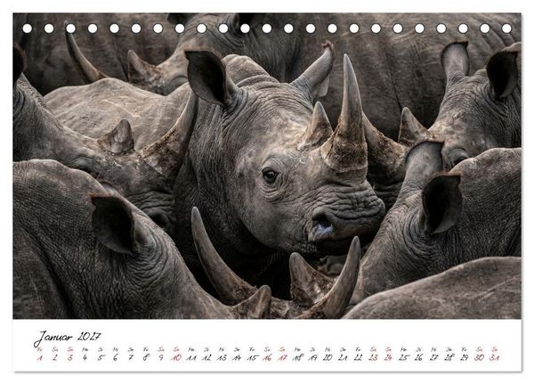 Produktbild: Better Together - Herdenmomente (Tischkalender 2027 DIN A5 quer), CALVENDO Monatskalender