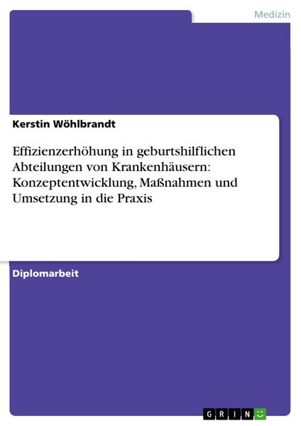 Produktbild: Effizienzerh&ouml;hung in geburtshilflichen Abteilungen von Krankenh&auml;usern: Konzeptentwicklung, Ma&szlig;nahmen und Umsetzung in die Praxis