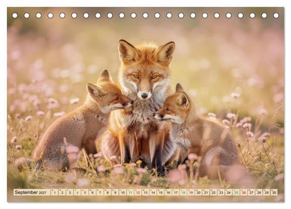 Produktbild: Zwischen den Feldern (Tischkalender 2027 DIN A5 quer), CALVENDO Monatskalender