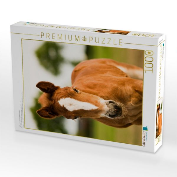 Produktbild: CALVENDO Puzzle Schwarzw&auml;lder Kaltblut Fohlen | 1000 Teile Lege-Gr&ouml;&szlig;e 64x48cm Foto-Puzzle f&uuml;r gl&uuml;ckliche Stunden