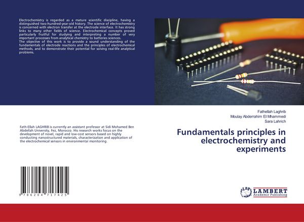 Produktbild: Fundamentals principles in electrochemistry and experiments