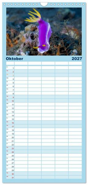 Produktbild: Familienplaner 2027 - Faszination blaue Unterwasserwelt mit 5 Spalten (Wandkalender, 21 x 45 cm) CALVENDO