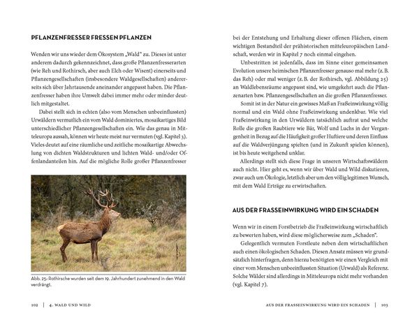 Produktbild: Die Sache mit dem Wald