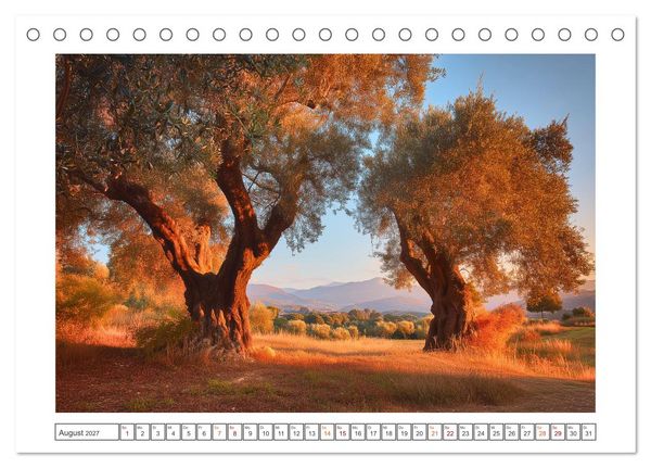 Produktbild: Die Magie der Olivenhaine (Tischkalender 2027 DIN A5 quer), CALVENDO Monatskalender