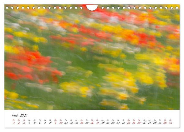 Produktbild: Abstrakte Landschaft ICM (Intentional Camera Movement) Fotografie (Wandkalender 2026 DIN A4 quer), CALVENDO Monatskalender