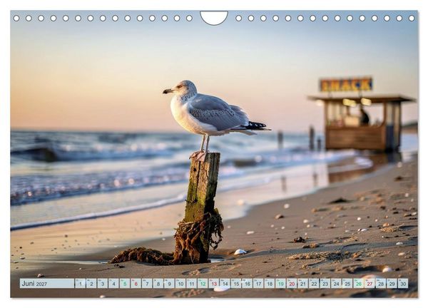 Produktbild: Ostsee Momente (Wandkalender 2027 DIN A4 quer), CALVENDO Monatskalender
