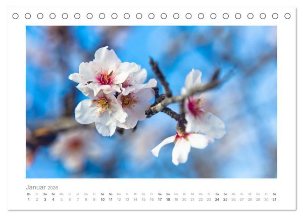 Produktbild: Mallorca - Natur pur (Tischkalender 2026 DIN A5 quer), CALVENDO Monatskalender