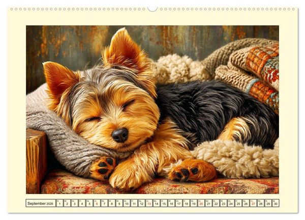 Produktbild: Yorkshire Terrier. Entz&uuml;ckende Minis mit Charme und Witz (hochwertiger Premium Wandkalender 2026 DIN A2 quer), Kunstdruck in Hochglanz