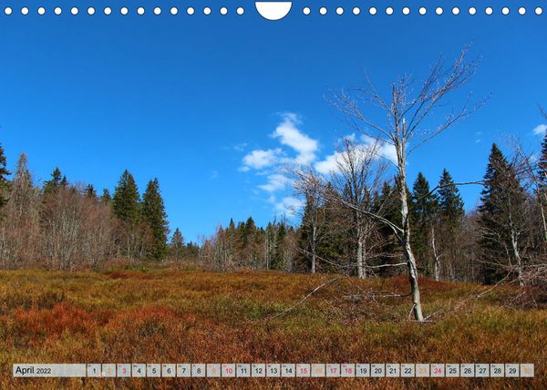 Produktbild: Bayer-Woid-Buidl (Wandkalender 2022 DIN A4 quer)
