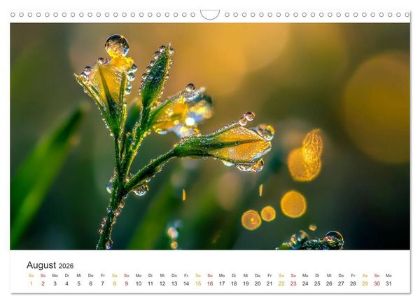 Produktbild: Zauber der Tropfen (Wandkalender 2026 DIN A3 quer), CALVENDO Monatskalender