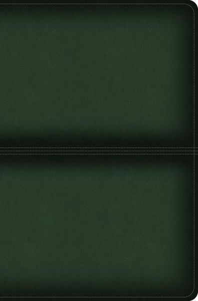 Produktbild: CSB Men's Daily Bible, Olive Leathertouch