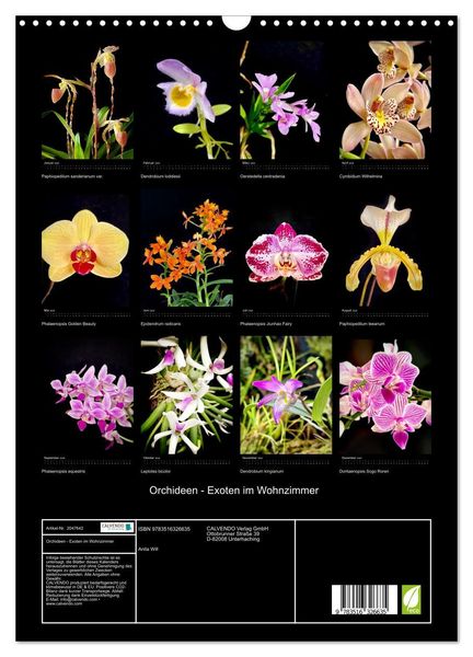Produktbild: Orchideen - Exoten im Wohnzimmer (Wandkalender 2026 DIN A3 hoch), CALVENDO Monatskalender