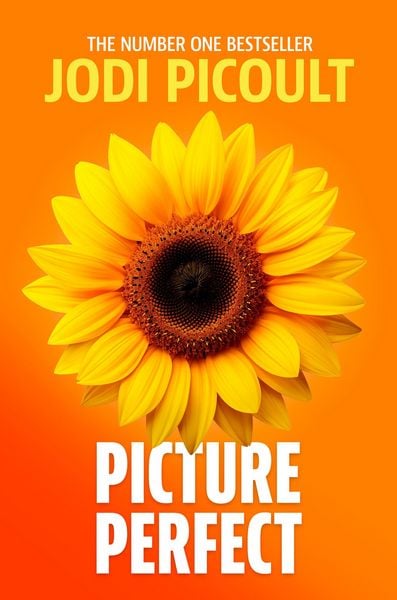 Produktbild: Picture Perfect