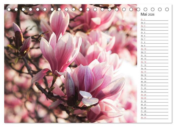 Produktbild: Blumenfreude Terminkalender (Tischkalender 2026 DIN A5 quer), CALVENDO Monatskalender