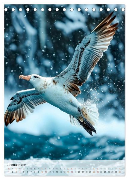 Produktbild: V&ouml;gel - K&uuml;nstler im Flug (Tischkalender 2026 DIN A5 hoch), CALVENDO Monatskalender