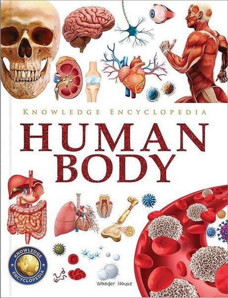 Produktbild: Knowledge Encyclopedia Human Body