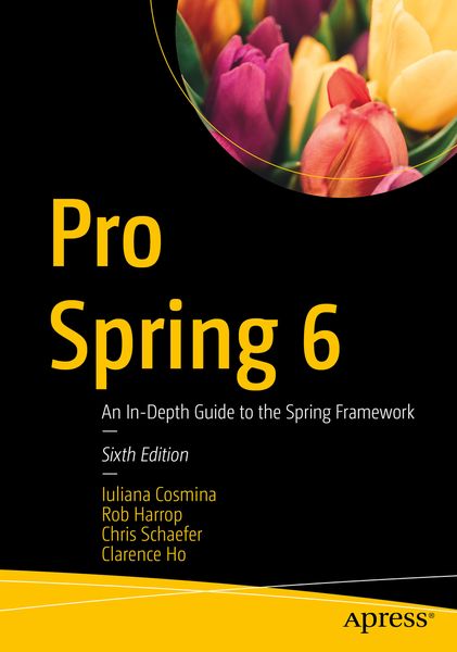 Produktbild: Pro Spring 6