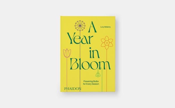 Produktbild: A Year in Bloom