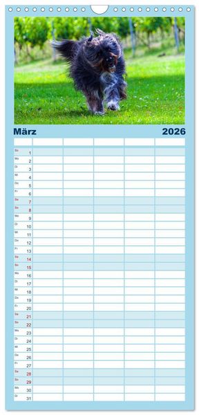 Produktbild: Familienplaner 2026 - Witzige Fellnasen mit 5 Spalten (Wandkalender, 21 x 45 cm) CALVENDO