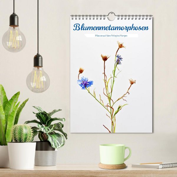 Produktbild: Blumenmetamorphosen (Wandkalender 2026 DIN A4 hoch), CALVENDO Monatskalender