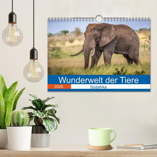 Produktbild: Wunderwelt der Tiere - S&uuml;dafrika (Wandkalender 2026 DIN A4 quer), CALVENDO Monatskalender