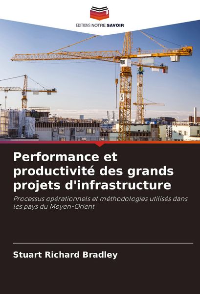 Produktbild: Performance et productivit&eacute; des grands projets d'infrastructure