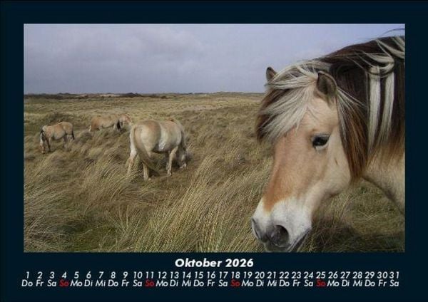 Produktbild: Pferdegefl&uuml;ster 2026 Fotokalender DIN A5