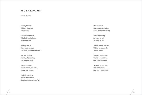 Produktbild: The Universe in Verse