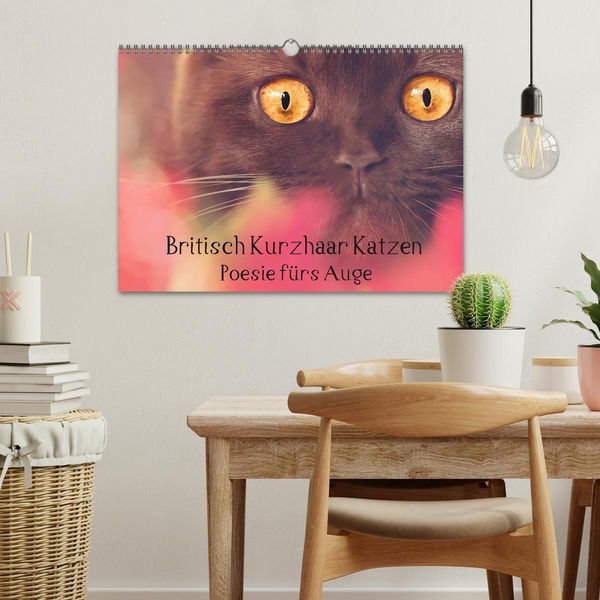 Produktbild: Britisch Kurzhaar Katzen - Poesie f&uuml;rs Auge (Wandkalender 2026 DIN A3 quer), CALVENDO Monatskalender