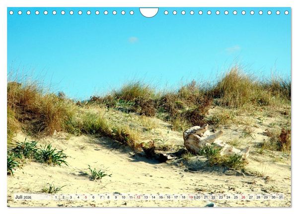 Produktbild: il Salento Kulturlandschaft zwischen zwei Meeren (Wandkalender 2026 DIN A4 quer), CALVENDO Monatskalender